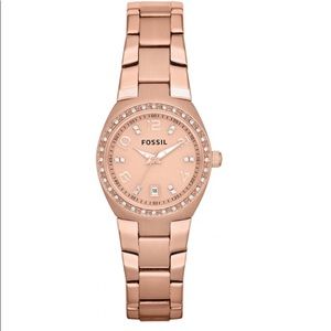 Fossil Ladies Colleague Watch AM4508